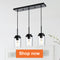 Chandeliers / Pendant Lights