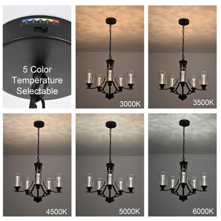 MELUCEE 5 Lights LED Modern Chandeliers for Dining Room Traditional Kitchen Chandelier Bubble Crystal Black Led Pendant Light with Clear Glass Shade, Built-in LED Chips, 5CCT Adjustable